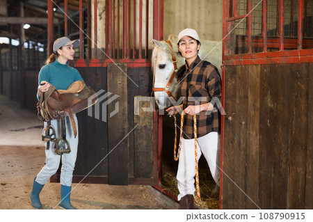 Women horsebreeders equipping horse Women horsebreeders equipping horse 108790915