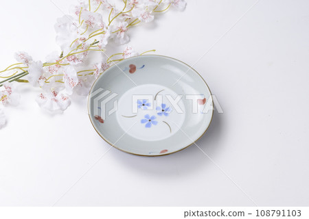 Japanese dish Japanese dish 108791103
