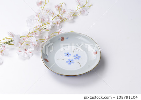 Japanese dish Japanese dish 108791104