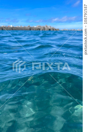 In the sea In the sea 108791587