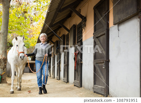 Mature woman jockey leads white horse by the bridle on the street along stable 108791951