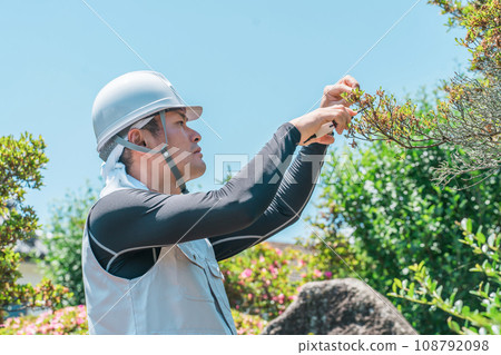 Gardener, landscaper, gardener, arborist, man pruning garden trees (gardening) Gardener, landscaper, gardener, arborist, man pruning garden trees (gardening) 108792098