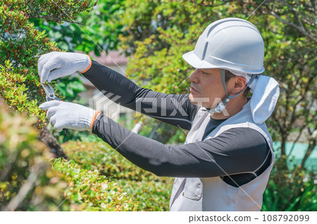 Gardener, landscaper, gardener, arborist, man pruning garden trees (gardening) Gardener, landscaper, gardener, arborist, man pruning garden trees (gardening) 108792099