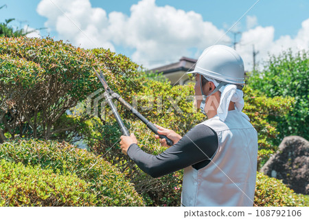 Gardener, landscaper, gardener, arborist, man pruning garden trees (gardening) Gardener, landscaper, gardener, arborist, man pruning garden trees (gardening) 108792106