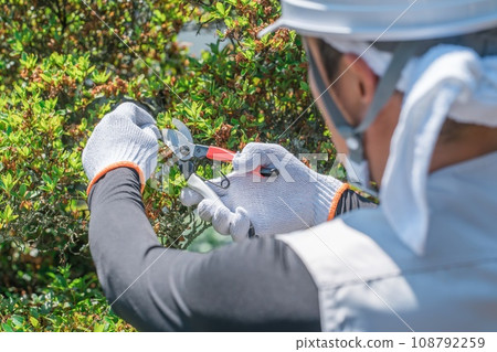 Gardener, landscaper, gardener, arborist, man pruning garden trees (gardening) Gardener, landscaper, gardener, arborist, man pruning garden trees (gardening) 108792259