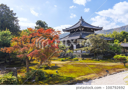 Kyoto, Rokuoin, Shariden and Karesansui garden, autumn leaves season 108792692