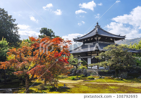 京都、Rokuoin、Shariden 和 Karesansui 花園，秋葉季節 108792693