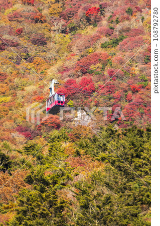 雲仙新田峠的紅葉[長崎縣雲仙市奧巴馬町] 108792780