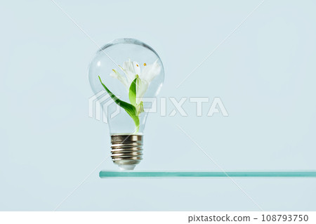 Ecology and green energy concept. green leaves growing inside a bulb. Glass shelf 108793750
