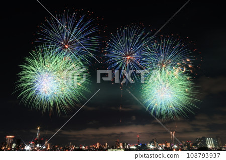 Fireworks display   108793937
