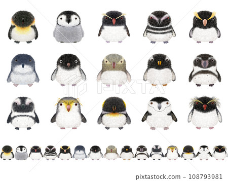Fluffy Bird Series E (Penguin) 108793981
