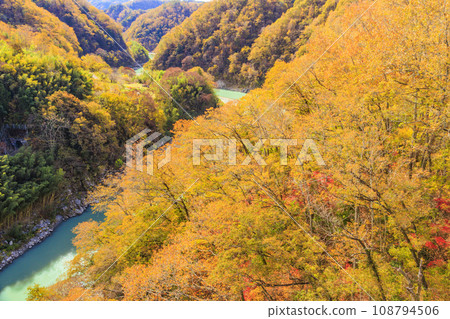 Tenryu Gorge, a scenic spot where you can see the autumn leaves Tenryu Gorge, a scenic spot where you can see the autumn leaves 108794506