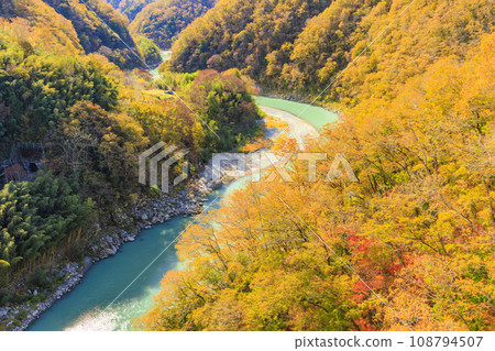 Tenryu Gorge, a scenic spot where you can see the autumn leaves Tenryu Gorge, a scenic spot where you can see the autumn leaves 108794507