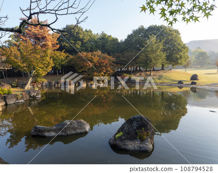 秋天的奈良公園三社信託池和春日野園地 108794528