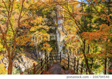 Tenryu Gorge, a scenic spot where you can see the autumn leaves Tenryu Gorge, a scenic spot where you can see the autumn leaves 108794540