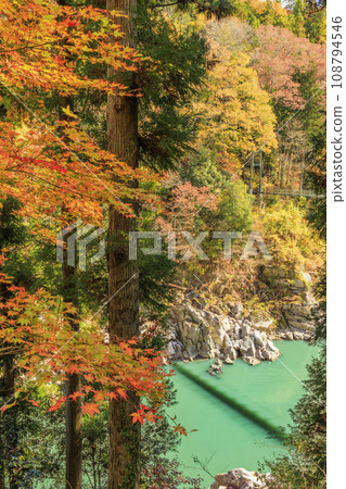 Tenryu Gorge, a scenic spot where you can see the autumn leaves Tenryu Gorge, a scenic spot where you can see the autumn leaves 108794546