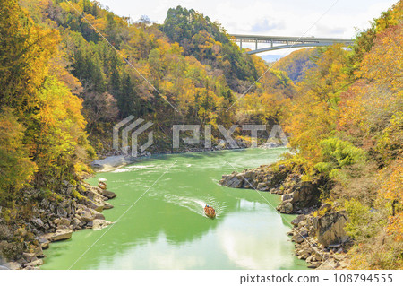 Tenryu Gorge, a scenic spot where you can see the autumn leaves 108794555