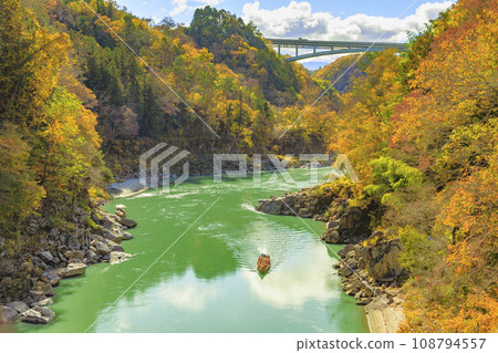 Tenryu Gorge, a scenic spot where you can see the autumn leaves Tenryu Gorge, a scenic spot where you can see the autumn leaves 108794557
