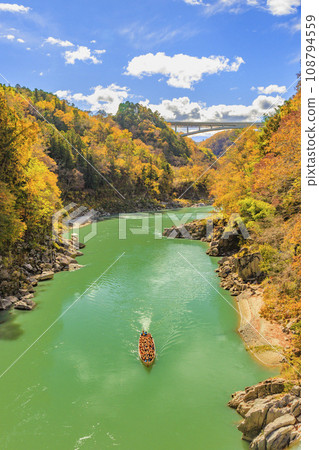 Tenryu Gorge, a scenic spot where you can see the autumn leaves 108794559