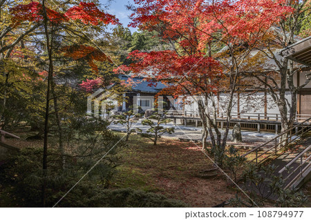 金剛峰寺高野山庭園的紅葉 108794977