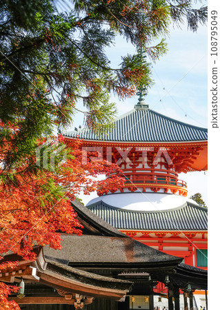 秋天的高野山、祭壇上伽藍、根本大東 108795049