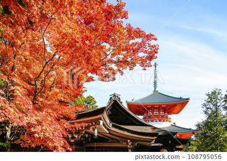 秋天的高野山、祭壇上伽藍、根本大東 108795056
