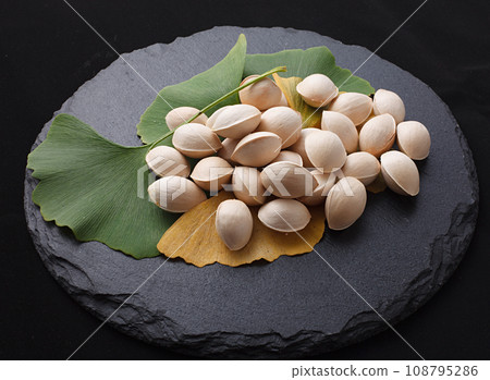 Ginkgo studio photography 108795286