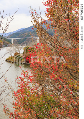 Ena Gorge, the best time to see autumn leaves Ena Gorge, the best time to see autumn leaves 108796334