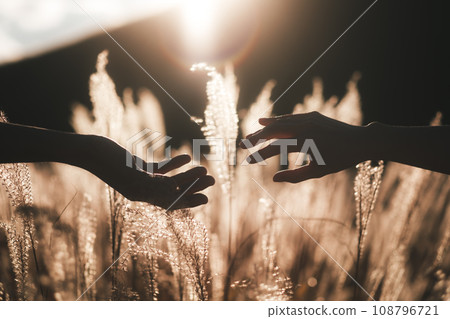 身體部位剪影手情侶 108796721