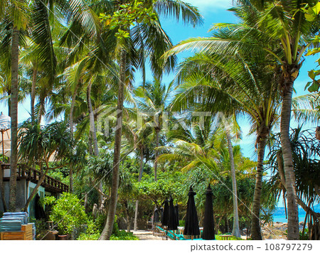 Phuket Hotel Private Beach 108797279