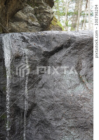 Spring water seeping out of the rock Spring water seeping out of the rock 108798204