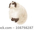毛茸茸的貓的喜馬拉雅水彩風景插圖 108798287