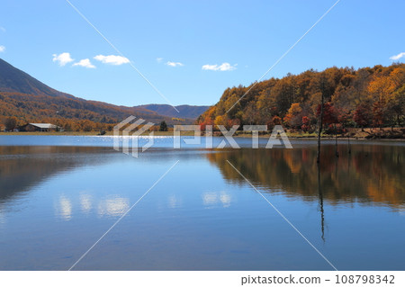 Goddess Lake [Tateshina Town, Kitasaku District, Nagano Prefecture / Yatsugatake Chushin Kogen Quasi-National Park] 108798342