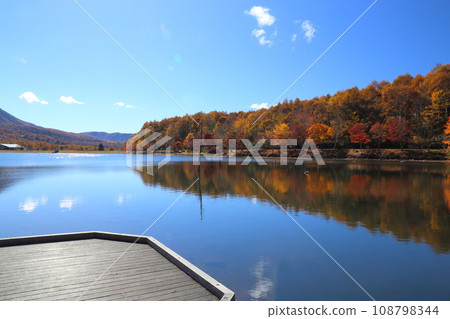 Goddess Lake [Tateshina Town, Kitasaku District, Nagano Prefecture / Yatsugatake Chushin Kogen Quasi-National Park] 108798344