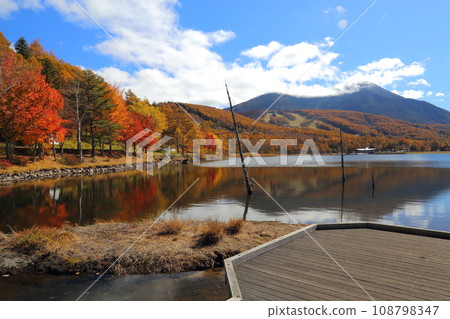 女神湖【長野縣北佐久郡蓼科町/八岳中神高原國定公園】 108798347