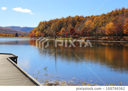 女神湖【長野縣北佐久郡蓼科町/八岳中神高原國定公園】 108798362