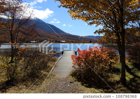 Goddess Lake [Tateshina Town, Kitasaku District, Nagano Prefecture / Yatsugatake Chushin Kogen Quasi-National Park] 108798368