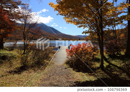 Goddess Lake [Tateshina Town, Kitasaku District, Nagano Prefecture / Yatsugatake Chushin Kogen Quasi-National Park] 108798369