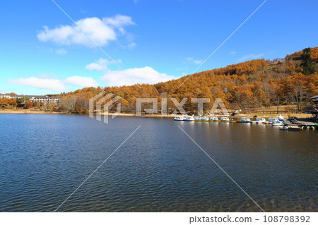 Goddess Lake [Tateshina Town, Kitasaku District, Nagano Prefecture / Yatsugatake Chushin Kogen Quasi-National Park] 108798392