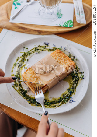 Close up of woman eating tasty sandwich with ham and cheese. Breakfast restaurant menu Close up of woman eating tasty sandwich with ham and cheese. Breakfast restaurant menu 108800157