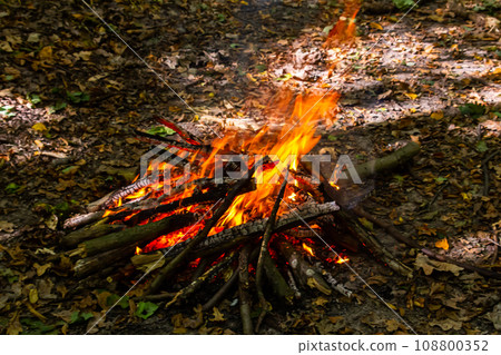 Flame of charcoal fire. Hearth for cooking and heating. Danger in forest 108800352