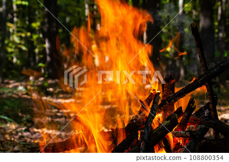 Flame of charcoal fire. Hearth for cooking and heating. Danger in forest 108800354