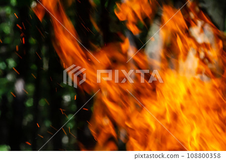 Flame of charcoal fire. Hearth for cooking and heating. Danger in forest 108800358