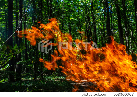 Flame of charcoal fire. Hearth for cooking and heating. Danger in forest 108800368