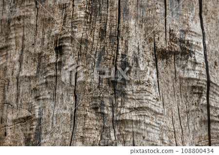 Wood Texture With Natural Pattern 108800434
