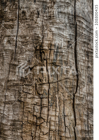 Wood Texture With Natural Pattern 108800435