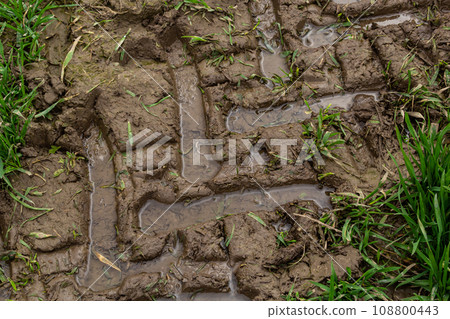 Traces of a tractor in the mud in a wet meadow 108800443