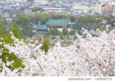 Cherry blossoms and Heian Shrine seen from the Shogunzuka Seiryuden observation deck 108800722