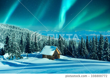 Northern lights in winter forest Northern lights in winter forest 108800772