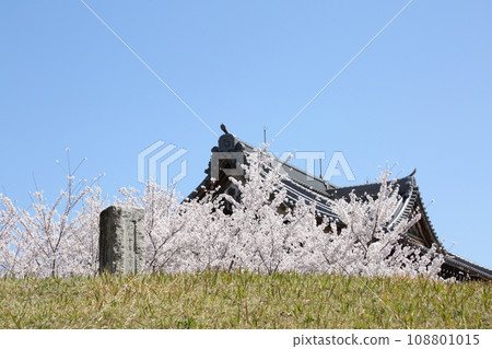 將軍塚 青龍殿櫻花和將軍塚 將軍塚 青龍殿櫻花和將軍塚 108801015